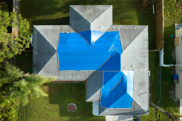 Best Green or Eco-Friendly Roofing Solutions  in Lake Alfred, FL