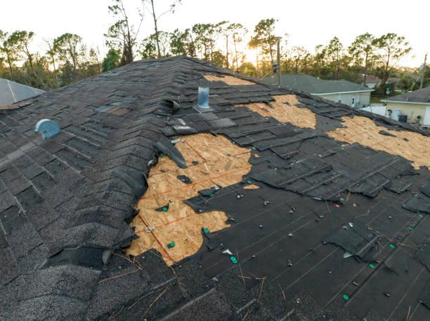 Best Metal Roofing Installation  in Lake Alfred, FL